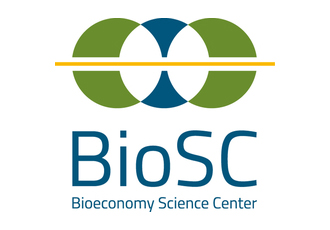 ccls logo