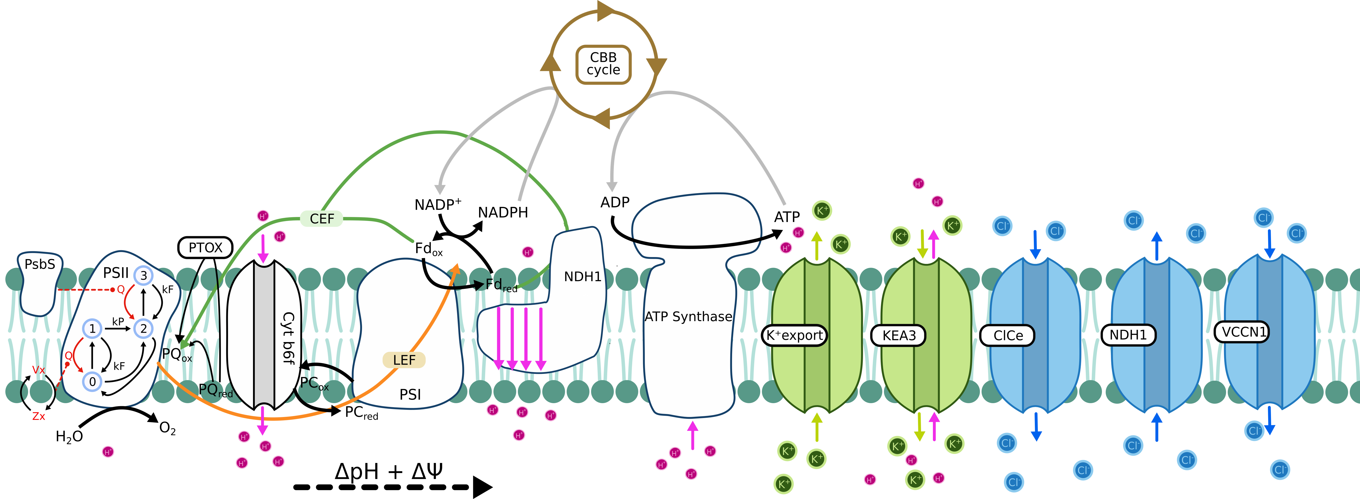 Ebeling 2026 scheme